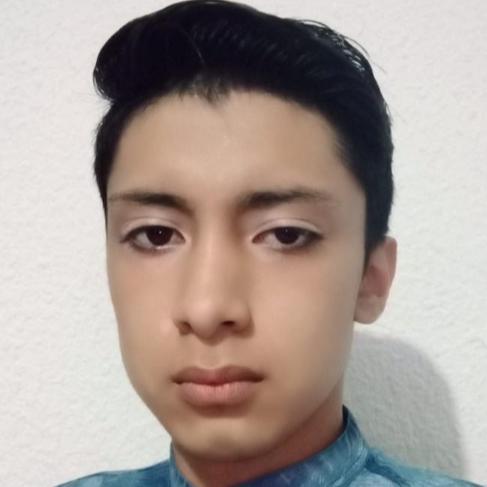 User Image