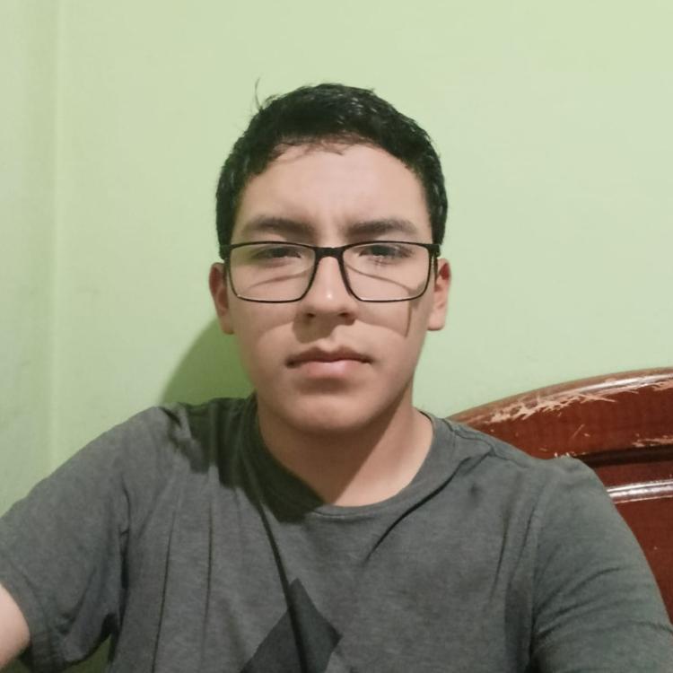 User Image