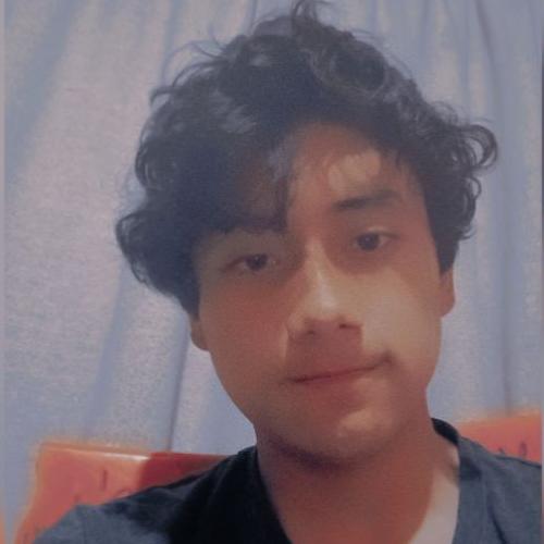 User Image