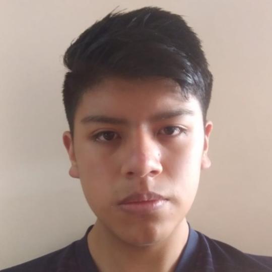 User Image
