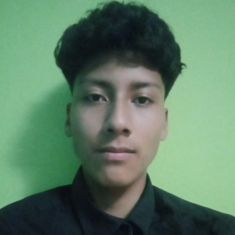 User Image