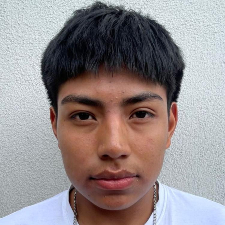 User Image