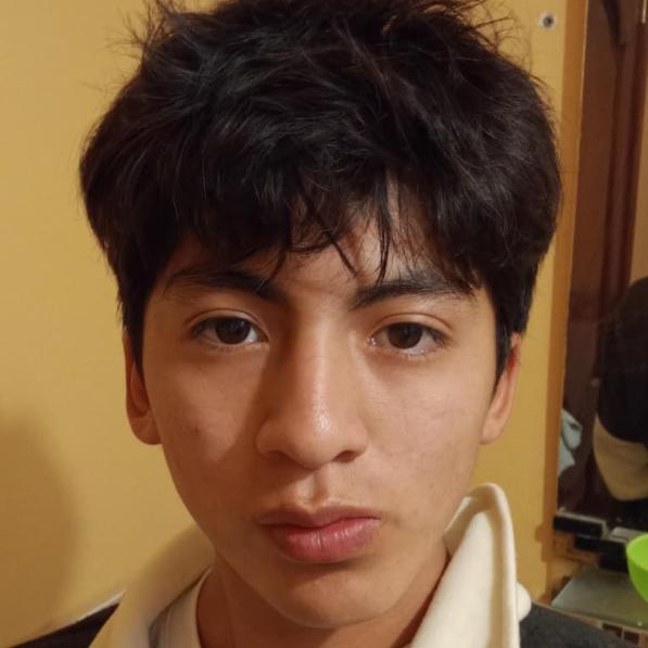 User Image