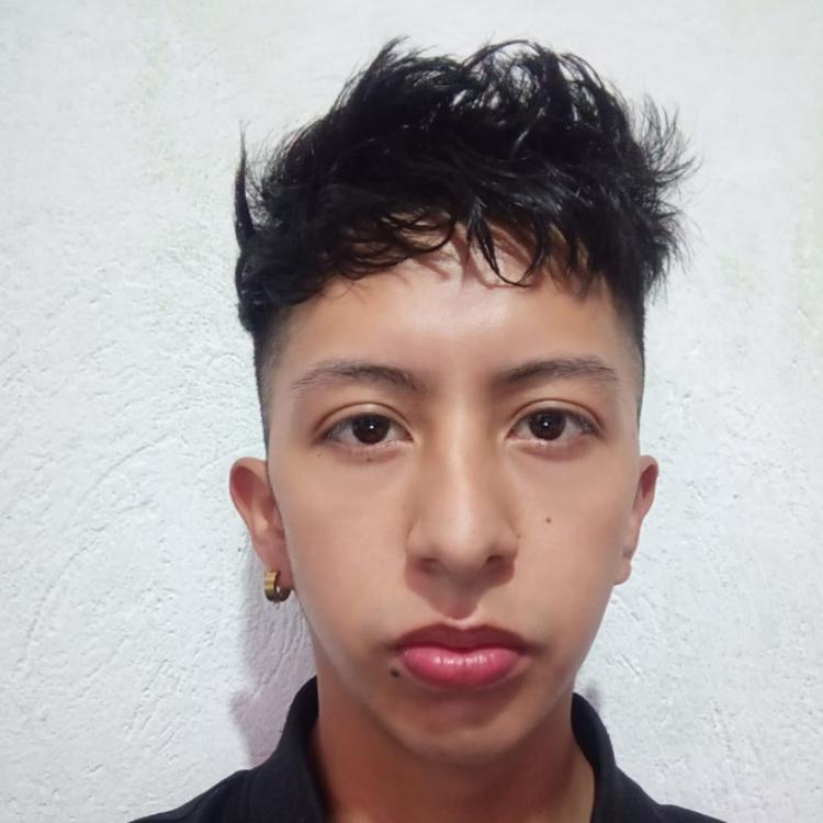 User Image