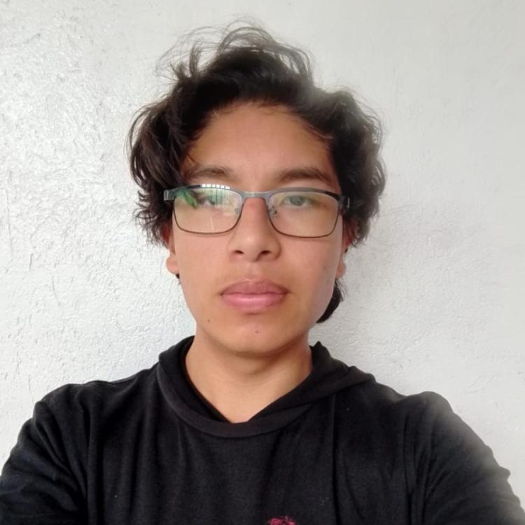 User Image