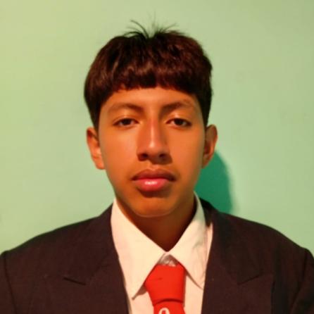 User Image