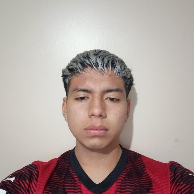 User Image