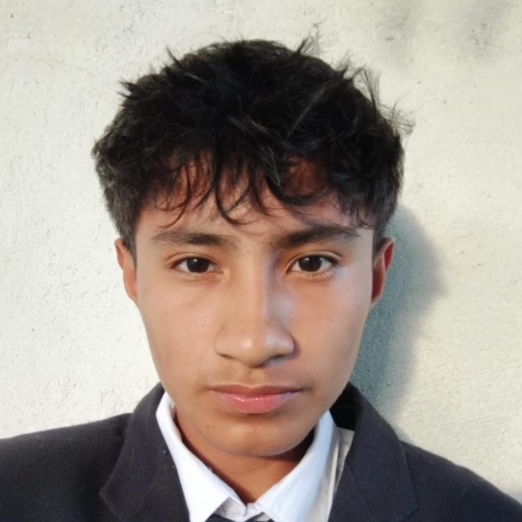 User Image